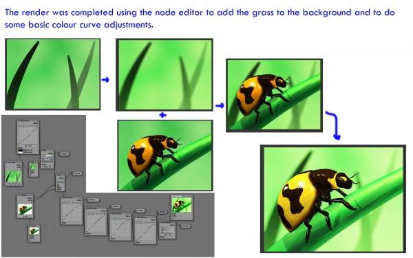 Creation of Ladybeetle: Step 10